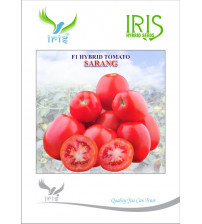 Tomato Iris F1 Sarang 10 grams